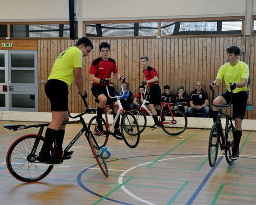 Öflingen erkämpft einen Startplatz beim Finale um die  Deutschen Meisterschaft U17  im Radball